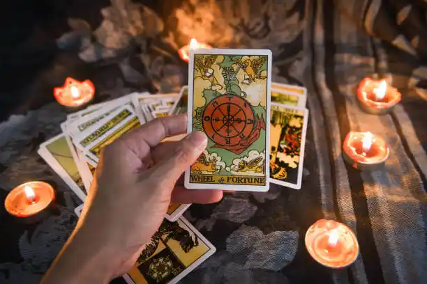 tarot cards Elysian